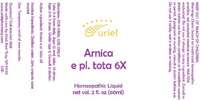 Arnica E Pl. Tota 6 Liquid (Arnica E Pl. Tota 6 Liquid)